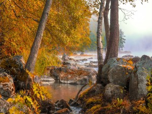 Niebla sobre el río en otoño