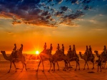 Personas en un caravana de camellos