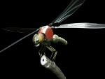 Una libélula mecánica
