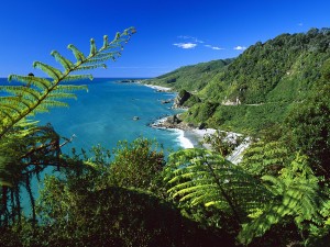 Hermosas vistas del Parque Nacional de Paparoa (Isla del Sur, Nueva Zelanda)