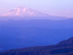 Monte Adams (Washington)