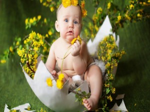 Bebé con flores amarillas dentro de una cáscara de huevo