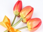 Tres tulipanes con un lazo amarillo