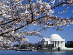 Vista primaveral del Monumento a Thomas Jefferson (Washington D. C.)