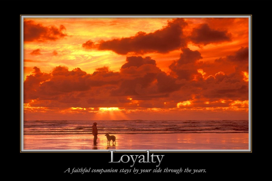 Que hermosa es la lealtad