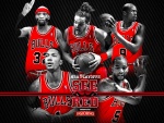 Jugadores de los Chicago Bulls