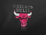Chicago Bulls 3D