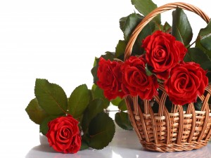 Rosa de color rojo en una cesta