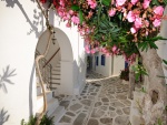 Casas con flores (Santorini, Grecia)