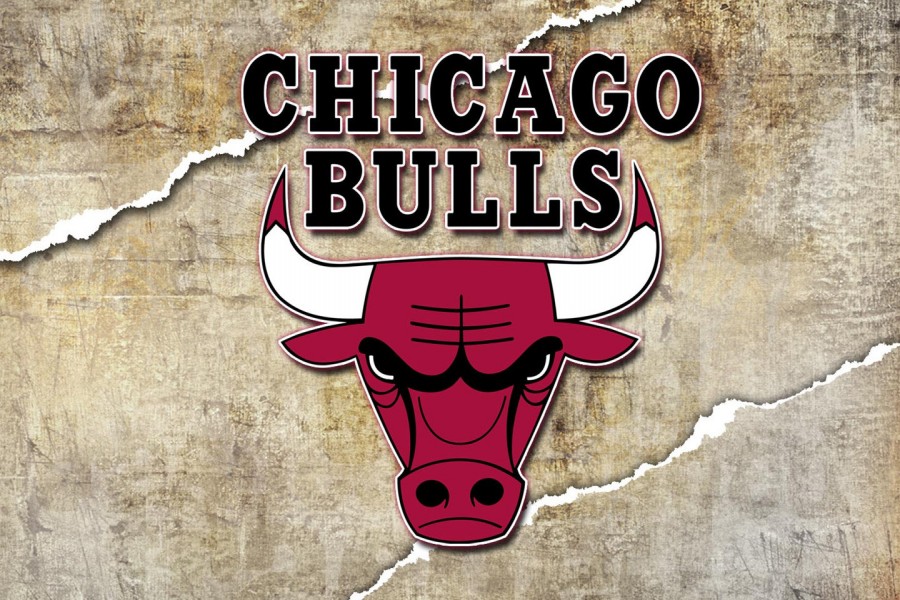 Logo de los Chicago Bulls