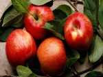 Exquisitas manzanas rojas