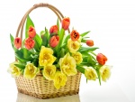 Cesta con tulipanes de color naranja y amarillo