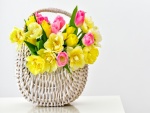 Bellos tulipanes en una cesta de mimbre