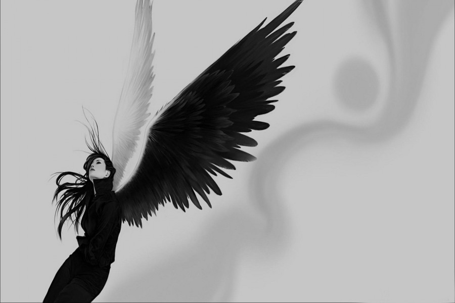 Ángel con las alas extendidas (78845)