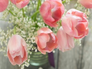 Espléndidos tulipanes color rosa en un recipiente