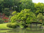 Personas disfrutando en un bello jardín japonés