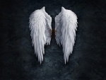 Las alas de un ángel