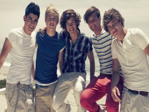 Los chicos de One Direction posando en una playa