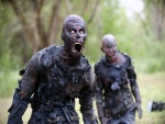 Zombies de "The Walking Dead"