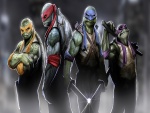 Tortugas Ninja (Michelangelo, Donatello, Leonardo y Raphael)