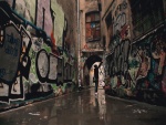 Chico haciendo un graffiti en un callejón