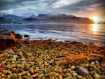 Costa rocosa al amanecer  (Noruega)