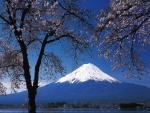 Vista del monte Fuji