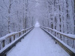 Puente cubierto de nieve