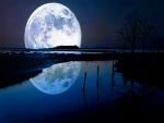 Gran luna reflejada