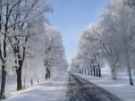 Nieve en la carretera