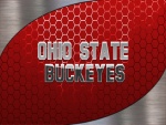 Ohio State Buckeyes en letras grises