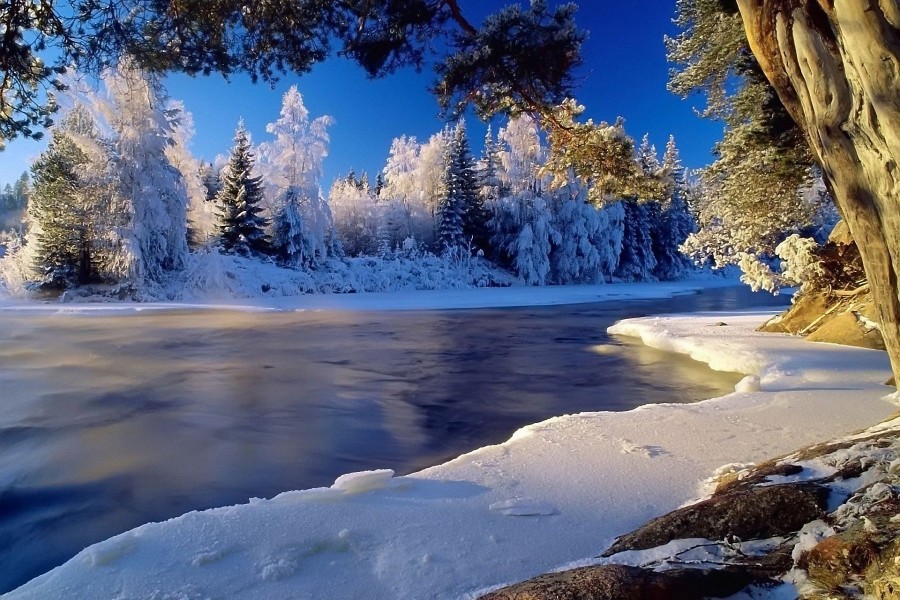 Nieve y hielo a orillas del río