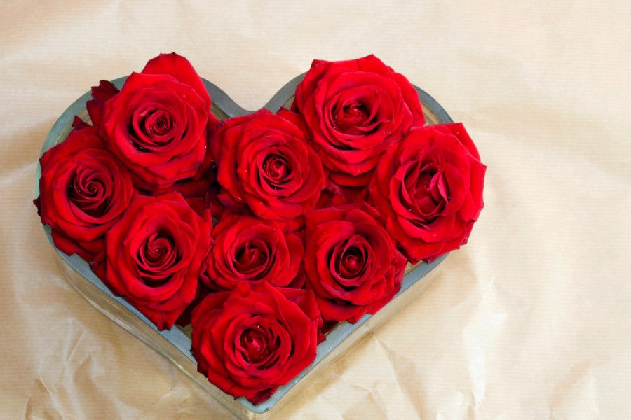 Ramo de rosas color rojo formando un corazón