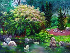 Cisnes en el estanque