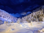 Contemplando el paisaje nevado durante la noche
