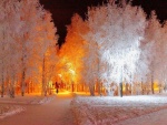 Caminando en una noche fría de invierno
