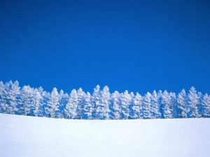 Cielo azul sobre el paisaje nevado