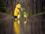 Caminando bajo la lluvia junto a dos patos