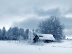 Pequeña cabaña cubierta de nieve