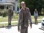 Zombies caminando "The Walking Dead"