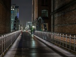 Puente en la noche de la ciudad de Hamburgo