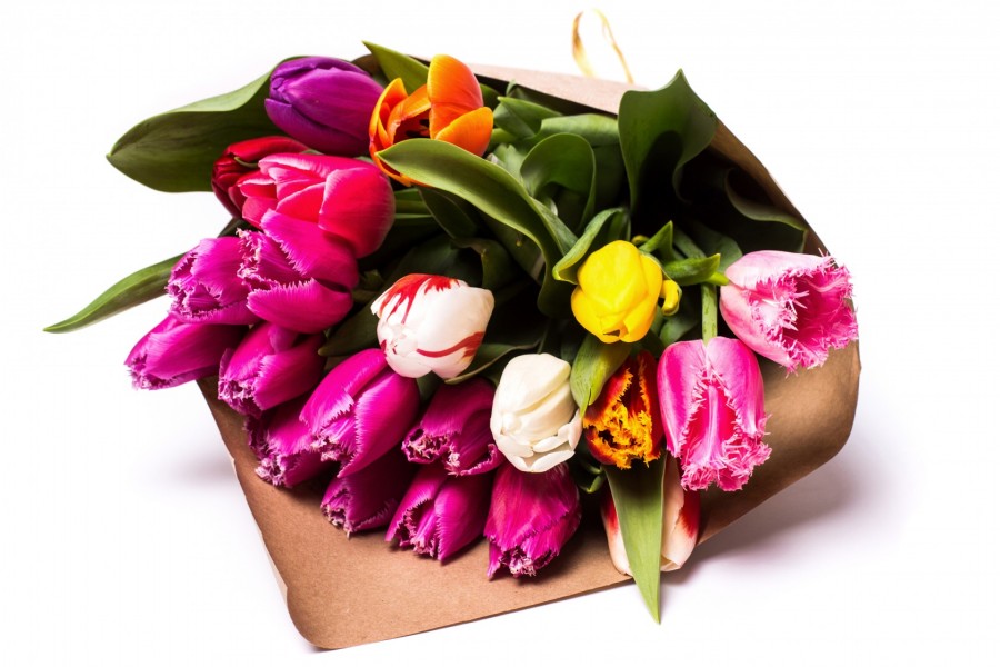 Ramo de tulipanes de varios colores