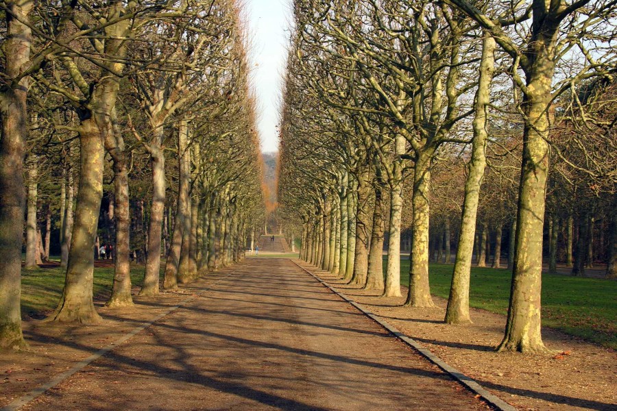 Parque de Sceaux (Francia)