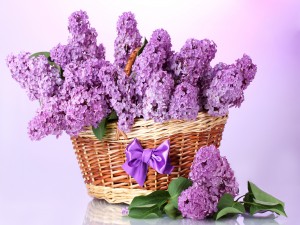 Postal: Una cesta con flores lilas