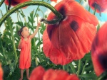 Pequeña niña entre flores de amapola
