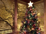 Adornos en el árbol de Navidad