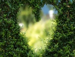 Corazón entre ramas verdes