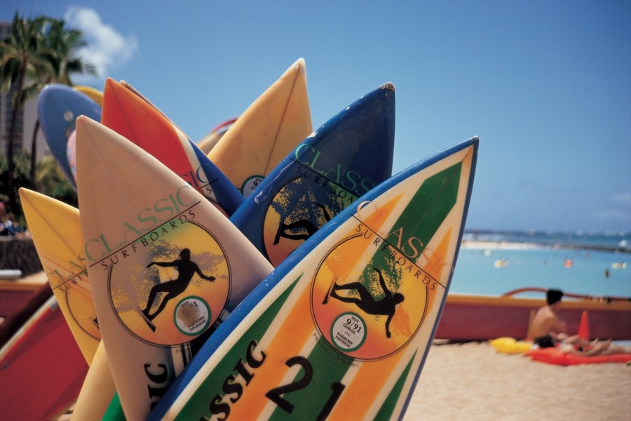 Tablas de surf en la playa