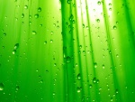 Gotas que caen sobre un fondo verde