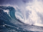 Impresionante ola en el mar